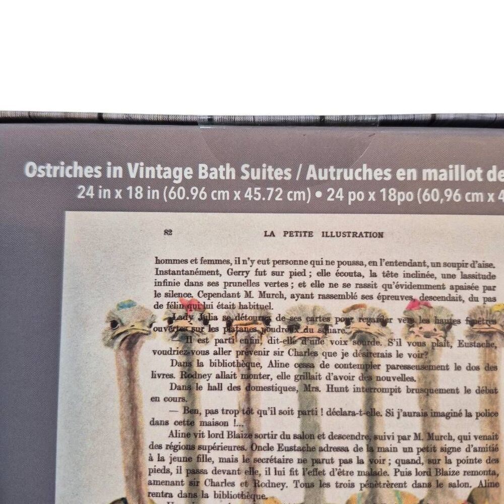 Ostriches in Vintage Bathing Suits Coco De Paris 300 Piece Jigsaw Puzzle NIB NEW - Picture 6 of 6